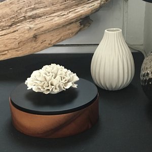 ANOQ Decoration & Parfums, Home & Living brand in France