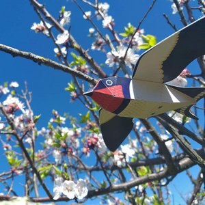 PUKACA, Kinder & Babys Marke in Portugal