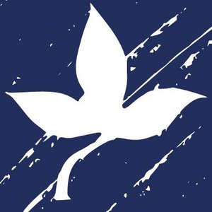 LEELA COTTON, Kids & Baby brand in Germany