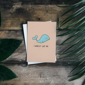 Momokin, Stationery brand in Germany