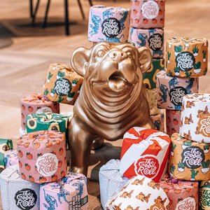 Goodroll B.V., Health & Beauty brand in Netherlands