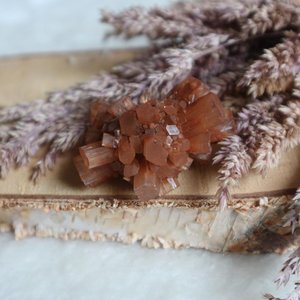 OnlineMineralen, Health & Beauty brand in Netherlands