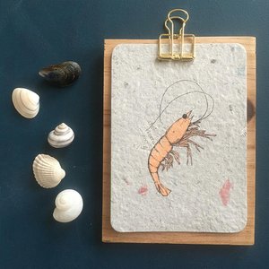 Studio Mabelle, Stationery merk in Nederland