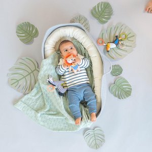 Taf Toys, Kinder & Babys Marke in Belgien