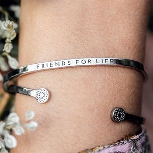 Simple Pledge, Schmuck Marke in Deutschland