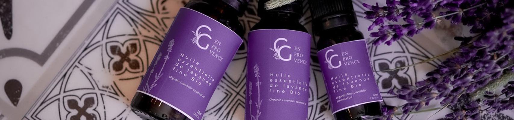 CHATEAU DE LA GABELLE