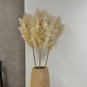 PAMPASKONING, Haus & Wohnen Marke in Niederlande