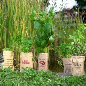 Junger Spross, Home & Living merk in Duitsland