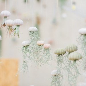 Airplantshop, Home & Living merk in Nederland