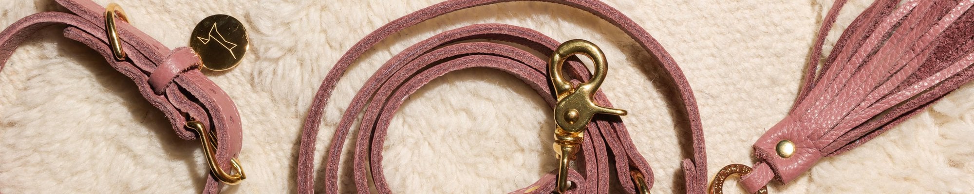 The Dog Musthaves