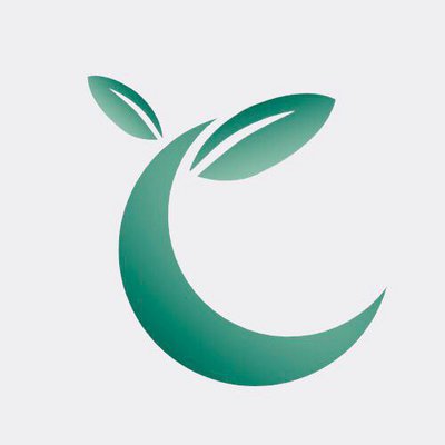 Bohemian Deco Limited