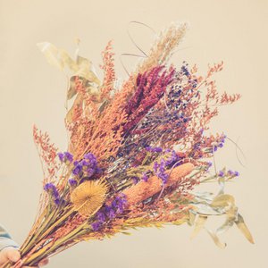 Blommes, Home & Living merk in België