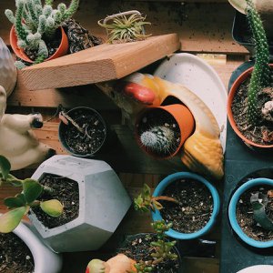 greenava, Home & Living merk in Duitsland