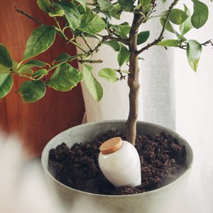 PEPIN, Home & Living merk in Frankrijk