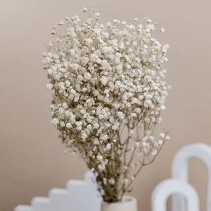 KENTYHOME, Home & Living merk in Frankrijk