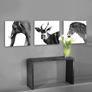 COGNOSCO Fotokunst, Koken & Tafelen merk in Duitsland