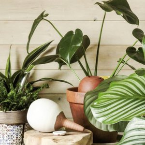 Poterie Lutton, Home & Living merk in Frankrijk