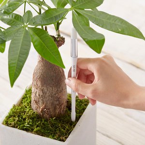 SUStee, Home & Living merk in Duitsland