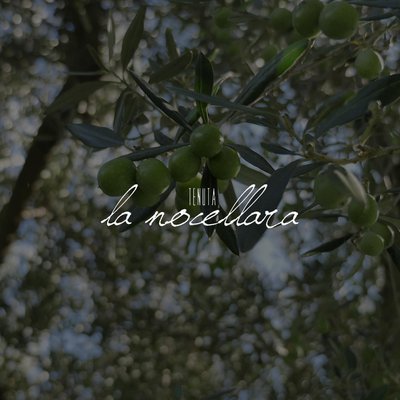 TENUTA LA NOCELLARA DI CIATO MATTIA