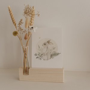 Appeloogje, Stationery brand in Netherlands