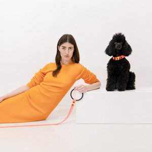 pawpow, Haus & Wohnen Marke in Deutschland