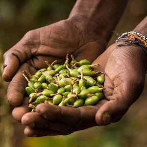 Pfefferdieb, Food & Beverages brand in Germany