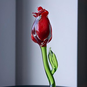 Sawrasko, Home & Living merk in Duitsland