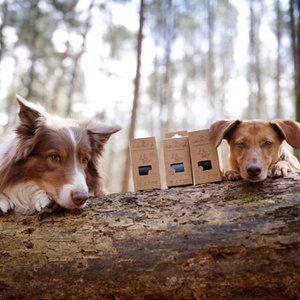 The Sustainable People, Home & Living brand in Germany