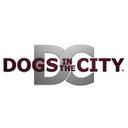 DOGS in the CITY®