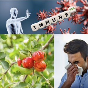 AlguaThera, Health & Beauty brand in Switzerland