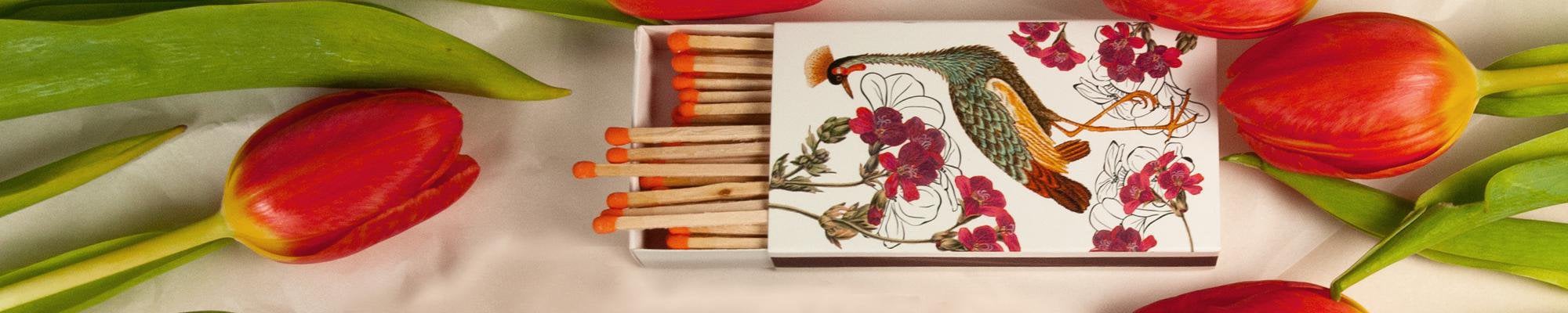 JOLANTA WOŁOSZYN WJ