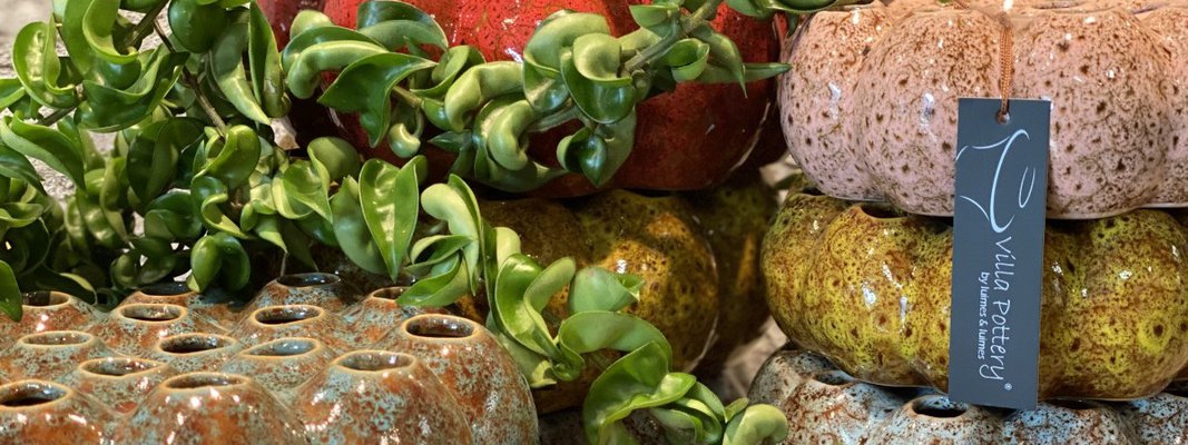 Luimes en Luimes Groothandel B.V.