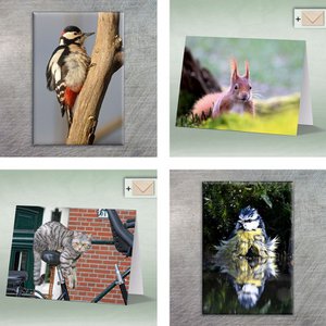 eye-comm Naturfotokarten, Stationery brand in Germany