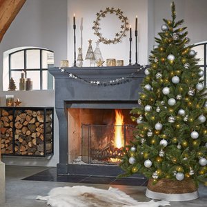 Triumph Tree, Home & Living merk in Nederland