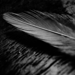 Enkels Feathers, Home & Living merk in België