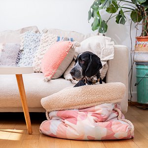 PET & Co., Home & Living merk in Duitsland