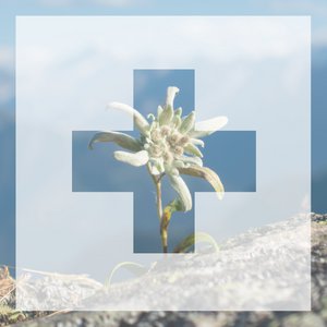 Artemis of Switzerland, Health & Beauty brand in Germany