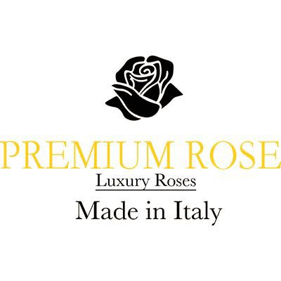 Premium Rose