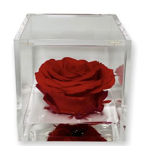 Premium Rose, Home & Living merk in Italië