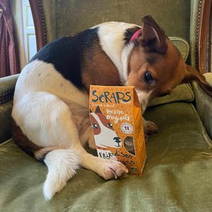 Scraps Gourmet, Haus & Wohnen Marke in Frankreich