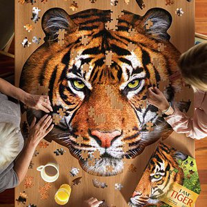 Madd Capp, Stationery brand in Belgium