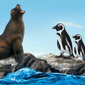 CollectA, Kinder & Babys Marke in Belgien