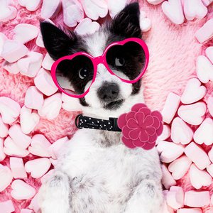 Atelier Nonosse, Home & Living merk in Frankrijk