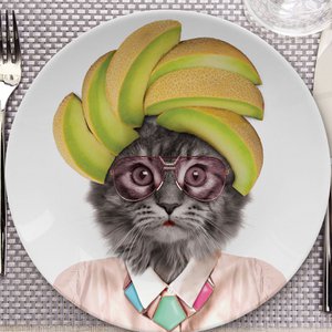 Mustard, Fashion brand in Netherlands