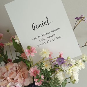 Twist Lifestyle, Stationery brand in Netherlands
