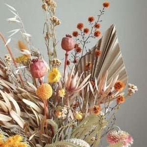 Secca, Home & Living merk in Polen