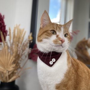 ByTiekeman, Home & Living merk in Nederland