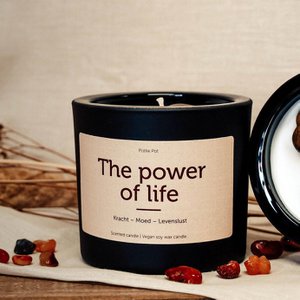 Pottie pot, Home & Living brand in Netherlands