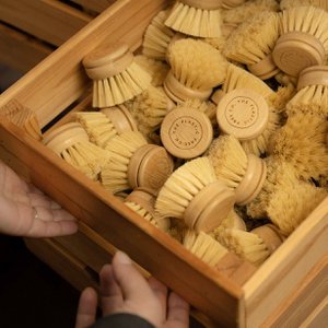 The Plastic Free Co., Health & Beauty brand in Netherlands