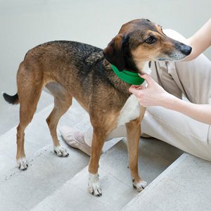 Masimalo, Home & Living merk in Zweden